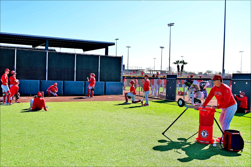 大谷翔平轉戰道奇，天使春訓基地採訪媒體瞬間銳減。（今日美國）
