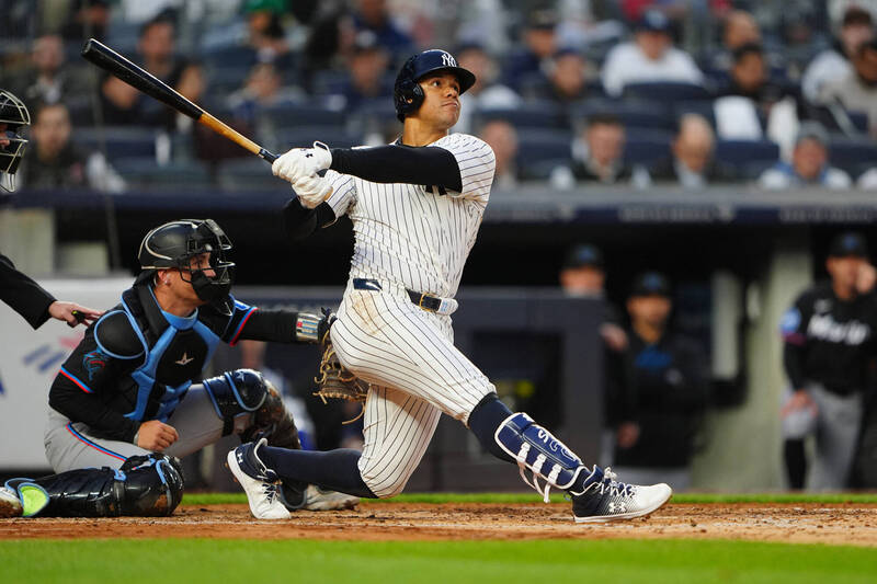 洋基強打索托。（今日美國）