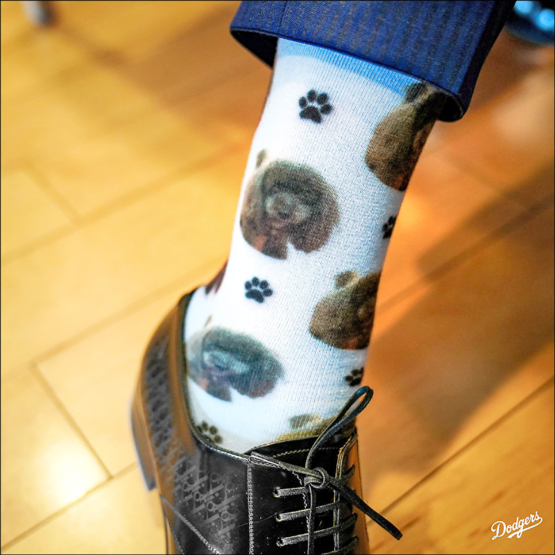 佐佐木朗希特別穿上與愛犬同品種的黑貴賓圖樣襪子，出席加盟記者會。（取自道奇網站X）