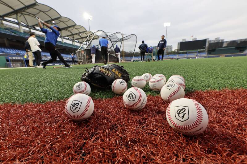 新莊棒球場界外區更新為大巨蛋等級的人工草皮。（富邦悍將提供）