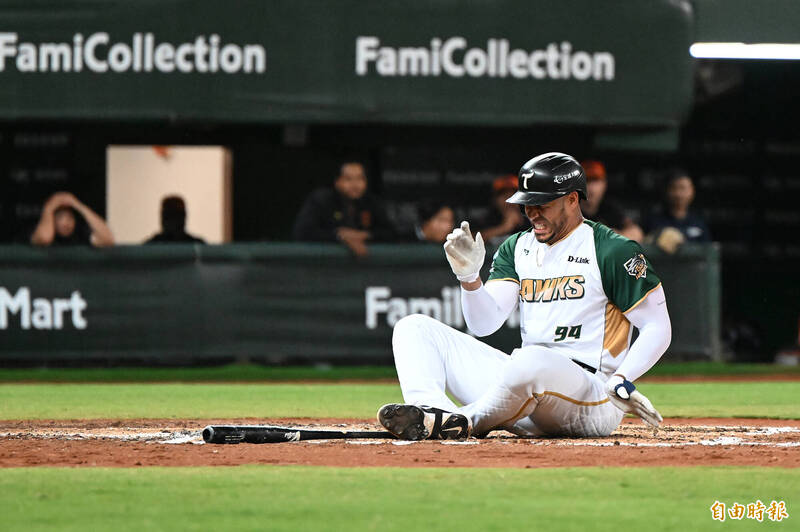 魔鷹。（資料照，記者李惠洲攝）