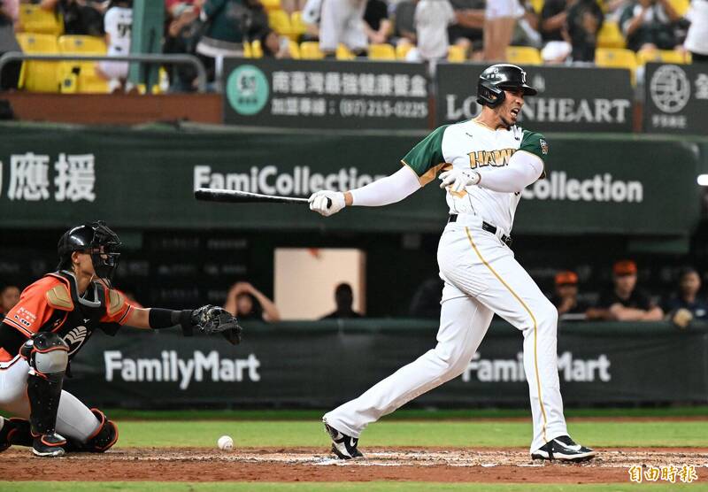 魔鷹。（資料照，記者李惠洲攝）