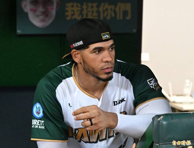 魔鷹。（資料照，記者李惠洲攝）