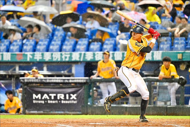 岳政華（資料照）