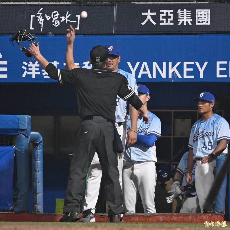 富邦悍將總教練陳金鋒把球丟回場內。（記者陳逸寬攝）