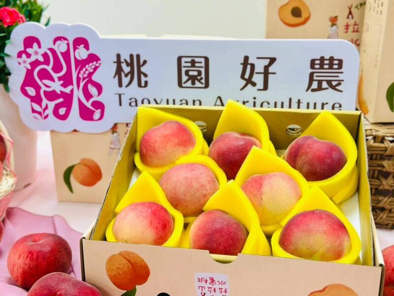 活動2天，果農皆新鮮直送水蜜桃至球場。（桃市農業局提供）