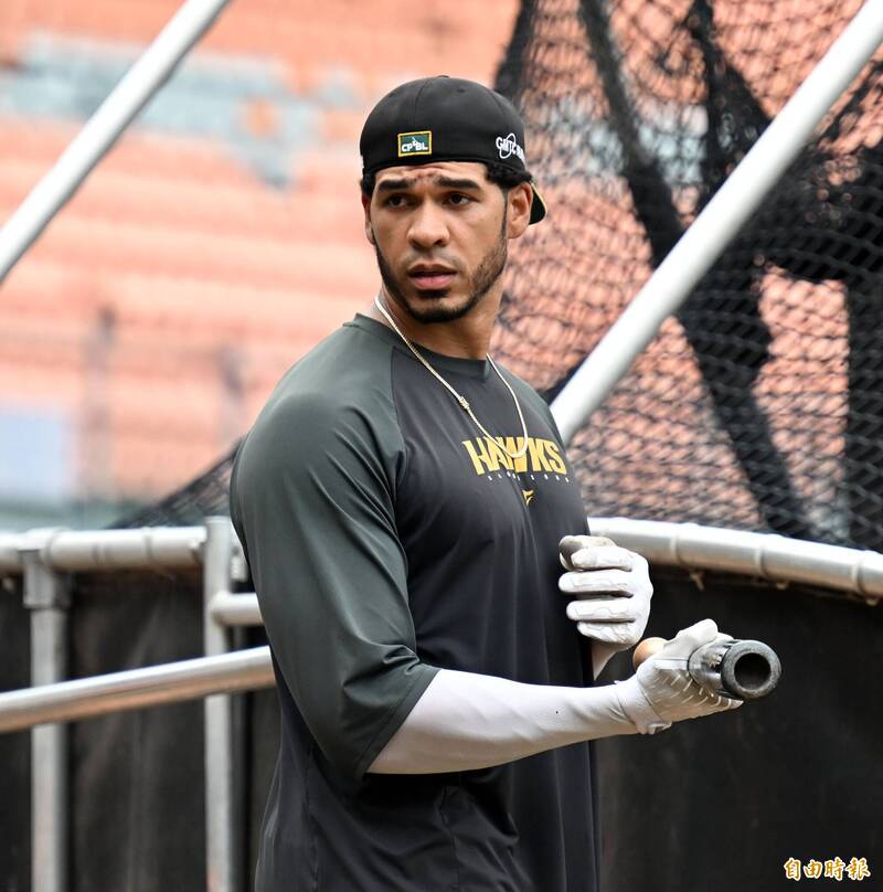 魔鷹。（資料照，記者李惠洲攝）