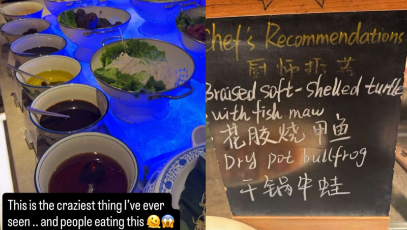 湯森稱中國料理「太瘋狂了」。（取自網路）