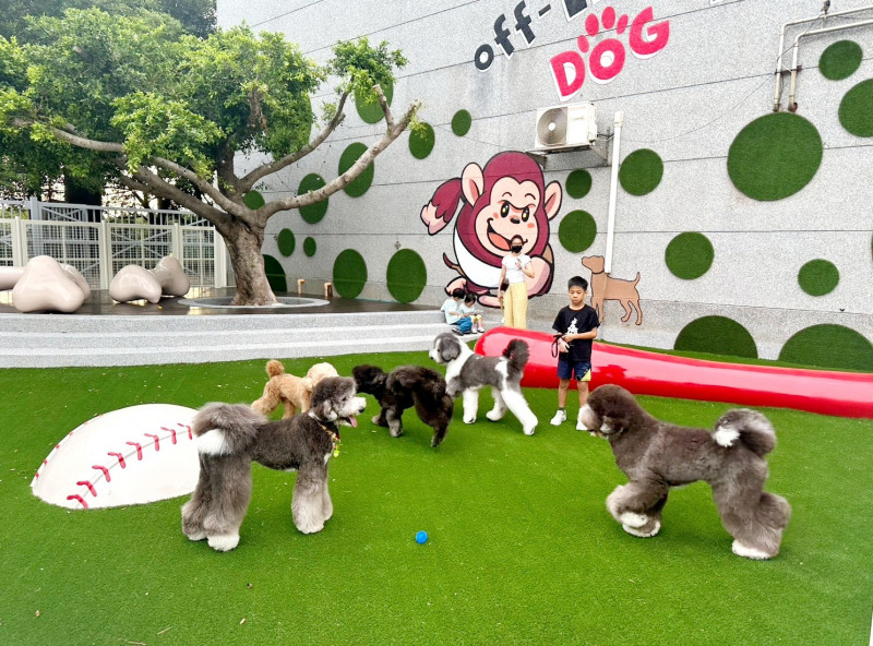 樂天桃園棒球場「戶外毛孩跑跳區」，於賽季推出後頗獲好評。（農業局提供）