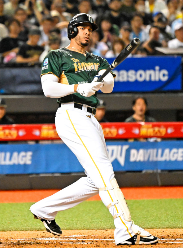 台鋼洋將魔鷹將挑戰成為中職史上首位全壘打王3連霸的洋砲。（資料照）