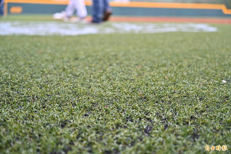 台鋼雄鷹訓練基地棒球場界外區使用人工草皮。（記者李惠洲攝）