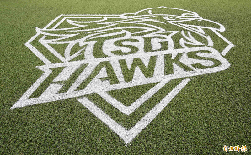 台鋼雄鷹訓練基地棒球場界外區使用人工草皮。（記者李惠洲攝）