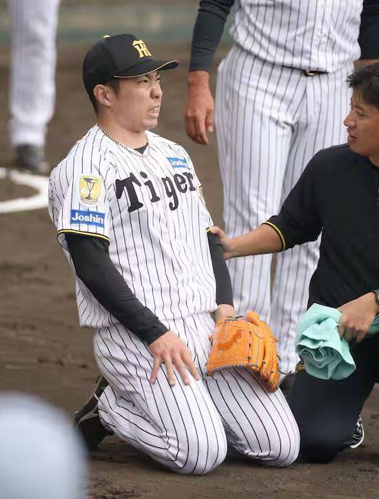 石井大智辭退經典賽。（產經體育）