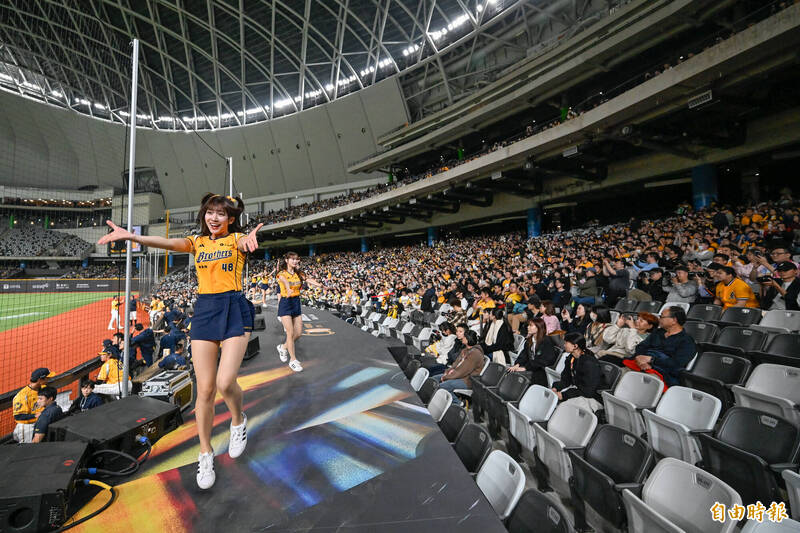 中信兄弟啦啦隊。（資料照，記者陳志曲攝）