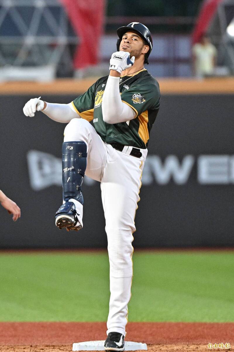 魔鷹。（記者陳逸寬攝）