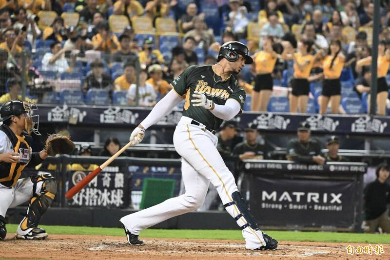 魔鷹。（記者廖耀東攝）