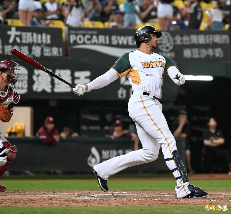 魔鷹。（資料照，記者李惠洲攝）