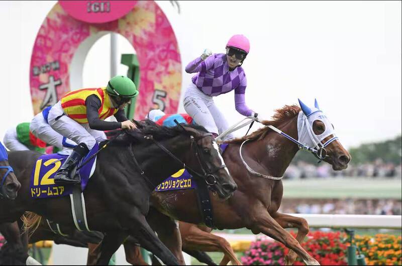 賽馬》歷史性一勝!今村聖奈首度挑戰經典賽即封后 創JRA女性騎師首座G1冠軍