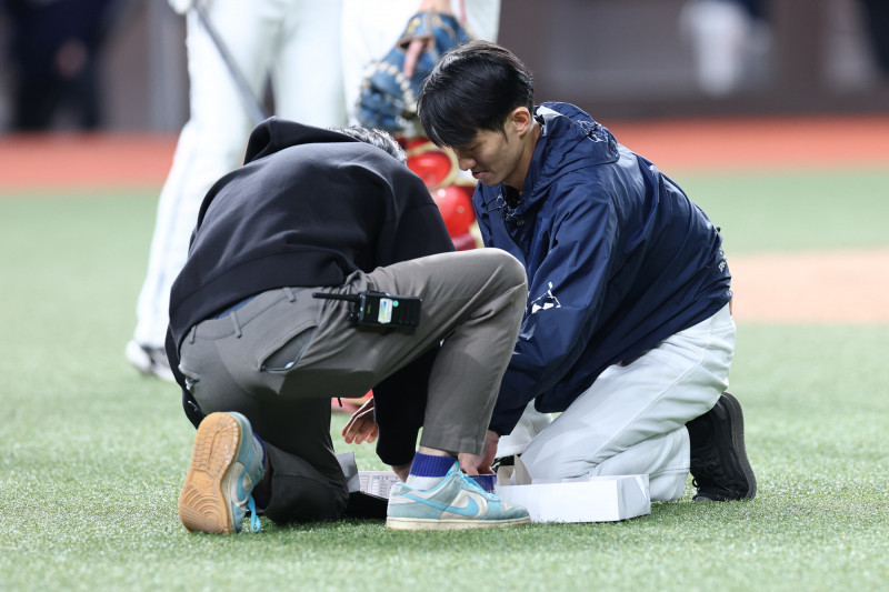 中職》大巨蛋爆「安鼠之亂」 遠雄回應了