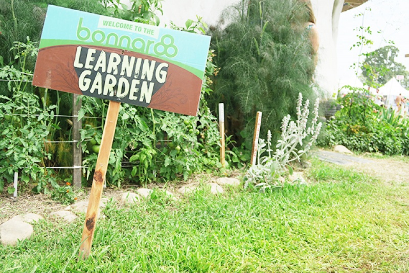 呼應Bonnaroo綠色環保概念，預約Learning Garden可學會園藝技巧；即使沒有預約，志工也會在現場回答關於園藝問題。