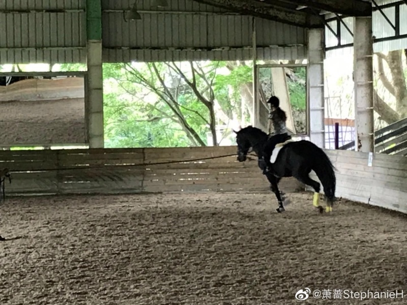 51歲蕭薔曬近照！貼身白T貼馬背，超驚人真實身材全曝光⋯