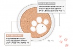 Holika Holika貓掌氣墊粉餅／售價韓圜21,900元（約台幣608元）。（台灣約2月中上市）