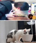 仙女姐姐劉亦菲自曝「另類洗臉影片」！網友驚呼太像小貓喝水！