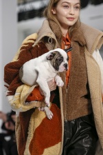 米蘭時裝週見超模「抱毛孩」上陣！愛狗人士怒：牠們不是配件…