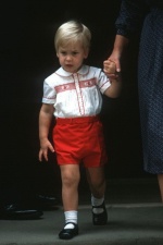 威廉王子與凱特王妃的童年照