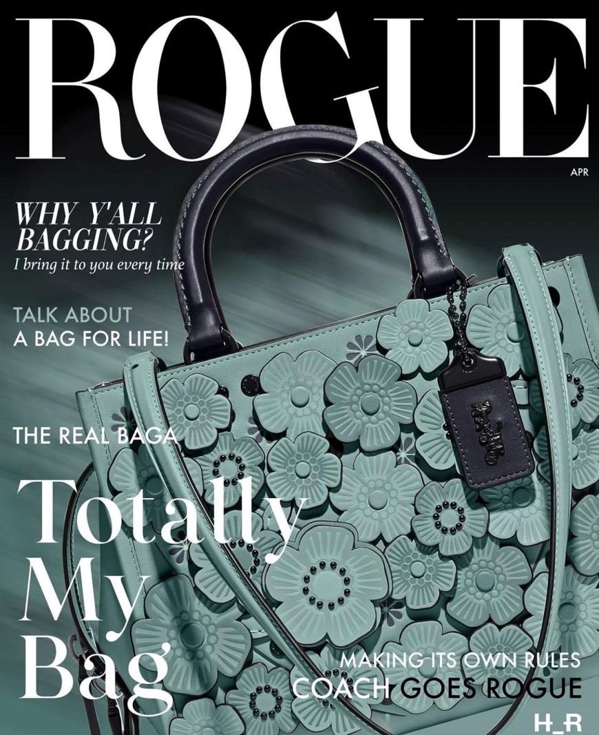 這張封面上頭的雜誌標題乍看是熟悉的《VOGUE》，但仔細看卻是「ROGUE」是寫錯還是又一惡搞？