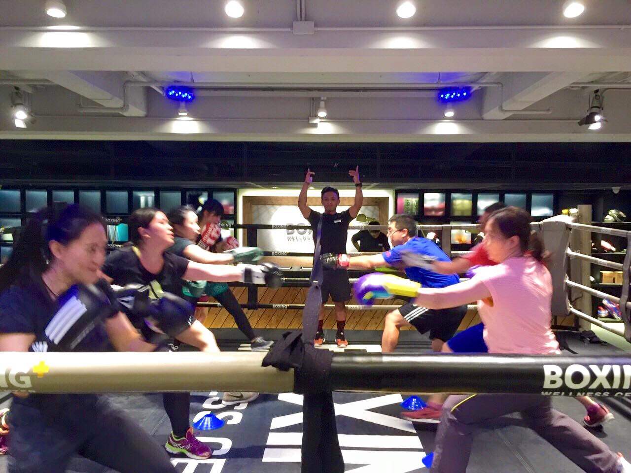 （圖片擷取自BOXING+ Facebook）