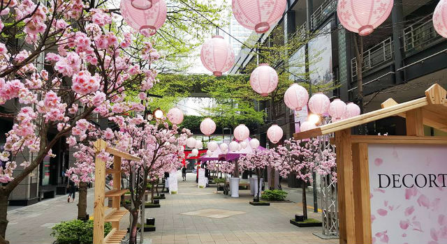 不用出國！夢幻櫻花音樂祭竟然就在信義區