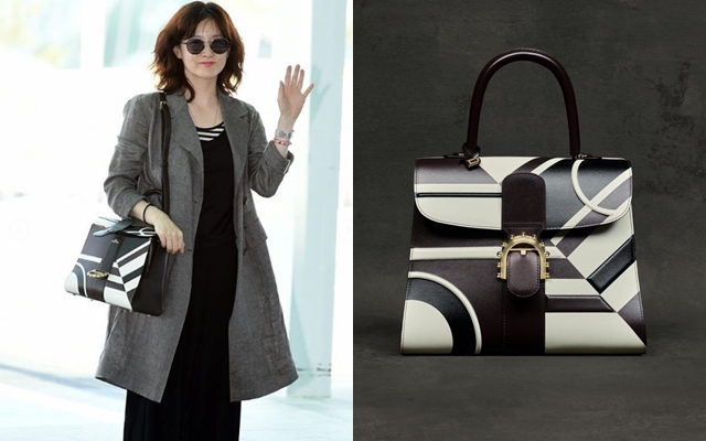 （翻攝自leeyoungae_official IG、delvaux.com）