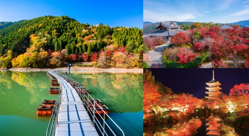 日幣貶值想出國趁現在！推薦5大日本在地人最愛「賞楓必去」景點！