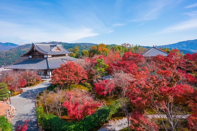 「京都市東寺」