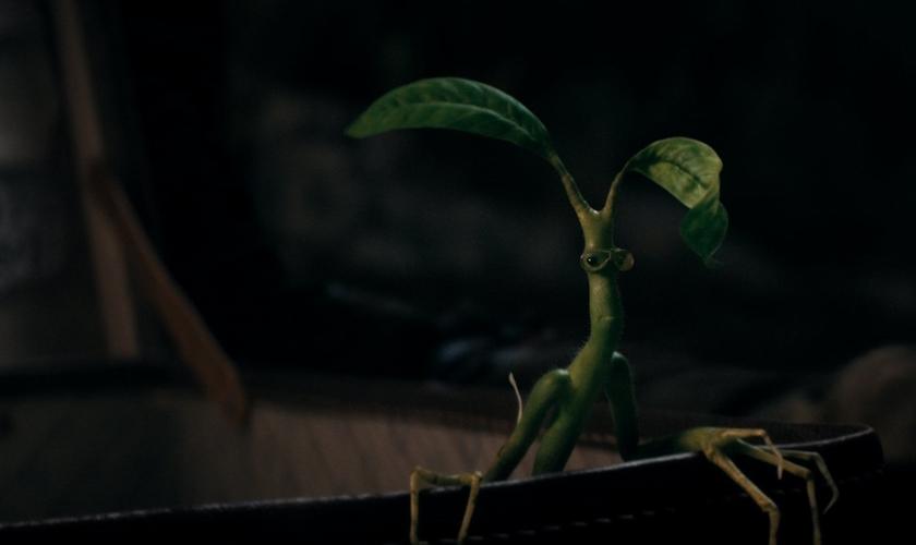 木精皮奇一樣戲份吃重。