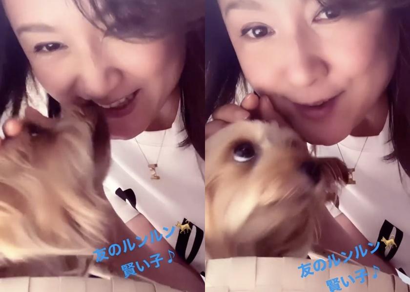 郭富城前緋聞女友大貼熱吻照！  51歲藤原紀香素顏狀況好得驚人