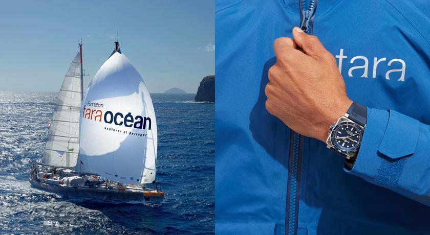 Bell & Ross與海洋保育組織合作！帆船船員全戴上藍色潛水錶