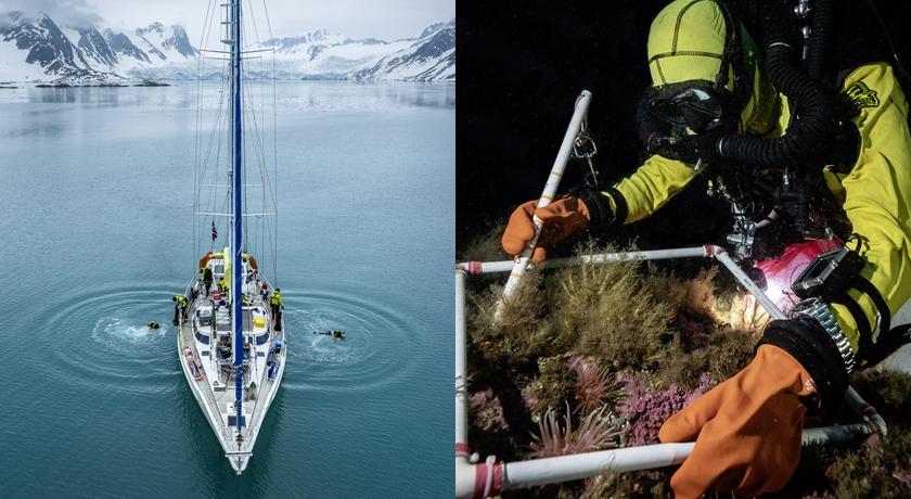 世界地球日將至！勞力士「極地之下探險」公開深海最新發現