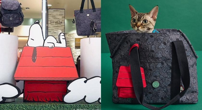 兩大品牌都為史努比慶生！千元價時尚寵物包不收不「型」