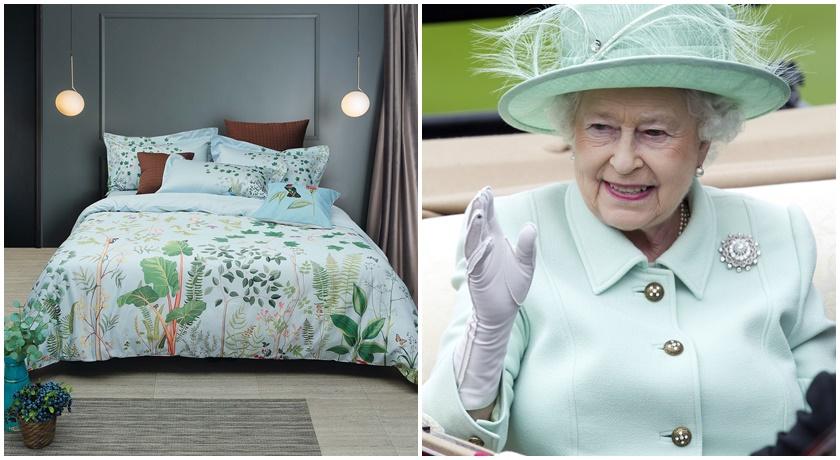 英國女王沒它就睡不好！王室御用寢具Sanderson埃及棉原來這麼奢華