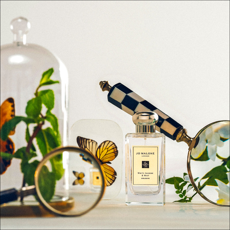 Jo Malone London圖書館系列為精選復刻回歸。白茉莉與薄荷香水，5,250元。