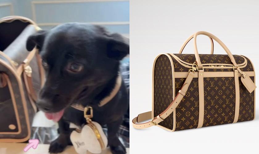 劉亦菲的愛犬使用LV Dog Carrier 40，123,000元。(翻攝自IG、官網)