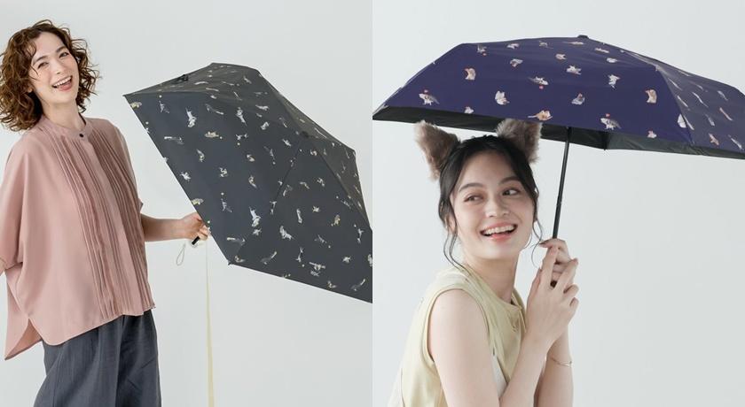 Wpc.沖昌之聯名星星貓咪遮光降溫傘，售價1,380元。