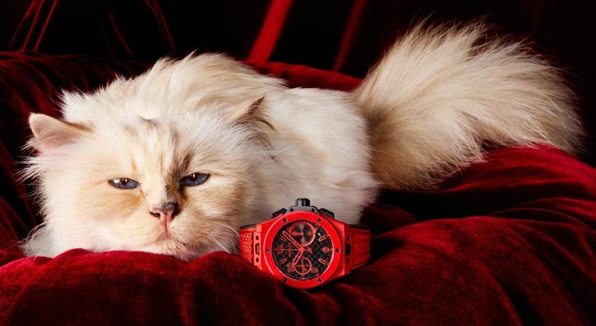 （Hublot提供）