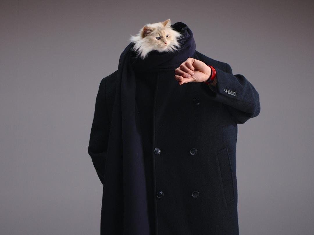 老佛爺愛貓Choupette成為Hublot最新大片主角。（Hublot提供）
