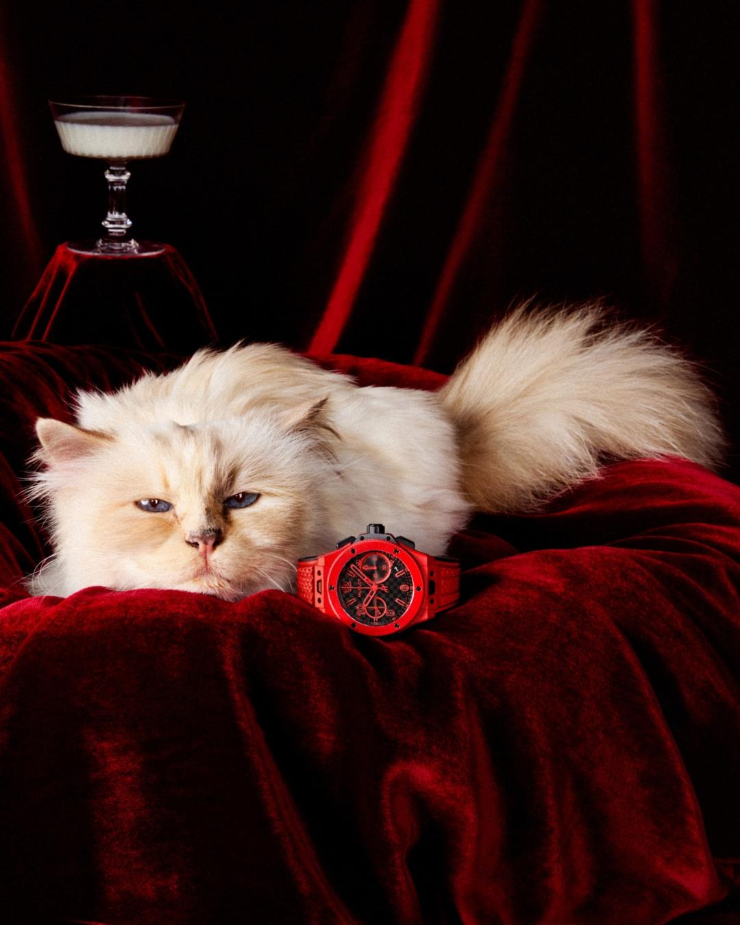 Choupette與20週年UNICO限量版系列的亮彩紅陶瓷款一同入鏡。（Hublot提供）