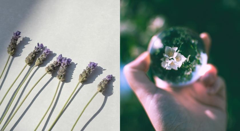 達人激推「花水」5大隱藏用法！（翻攝自pexels、istockphoto）