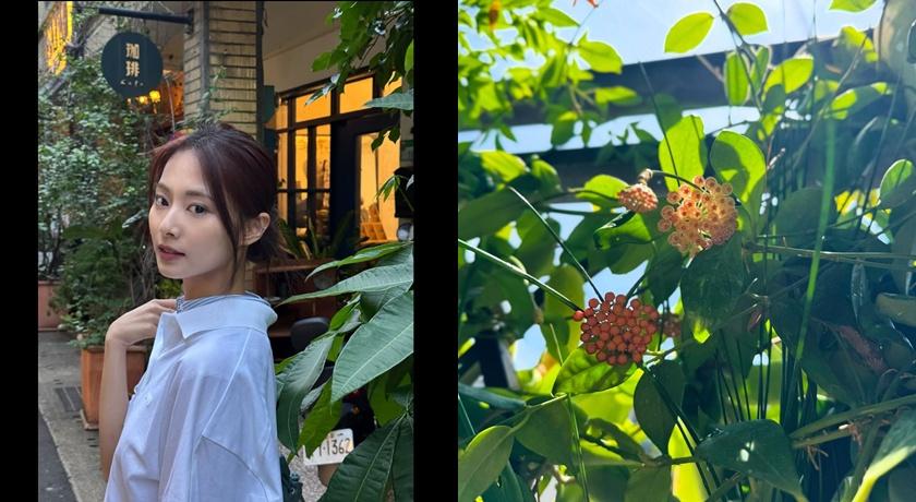 子瑜返韓前曬出一系列在台美照。