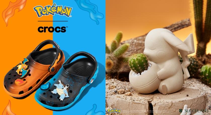 皮卡丘十萬伏特電力狂發瞄準訓練家日常！從多肉盆栽到鞋底注入療癒能量